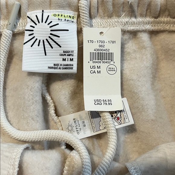 OFFLINE By Aerie Cloud Fleece Baggy Jogger - Heather Frost - Picture 6 of 7